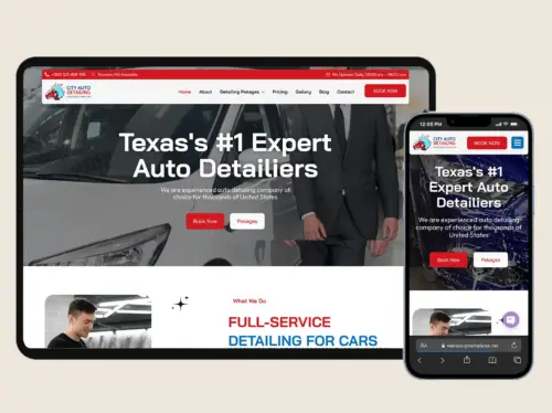 Auto Detailing Website Template – WordPress Drag and Drop Elementor Kit